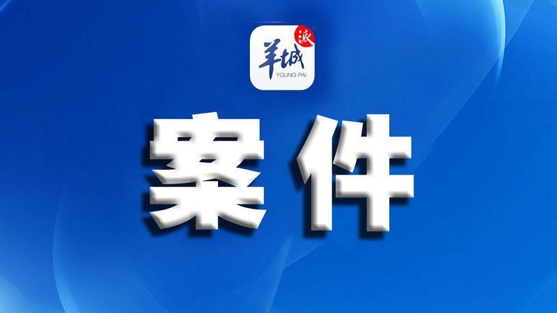 派付最新动态与学习变革，自信闪耀的进展