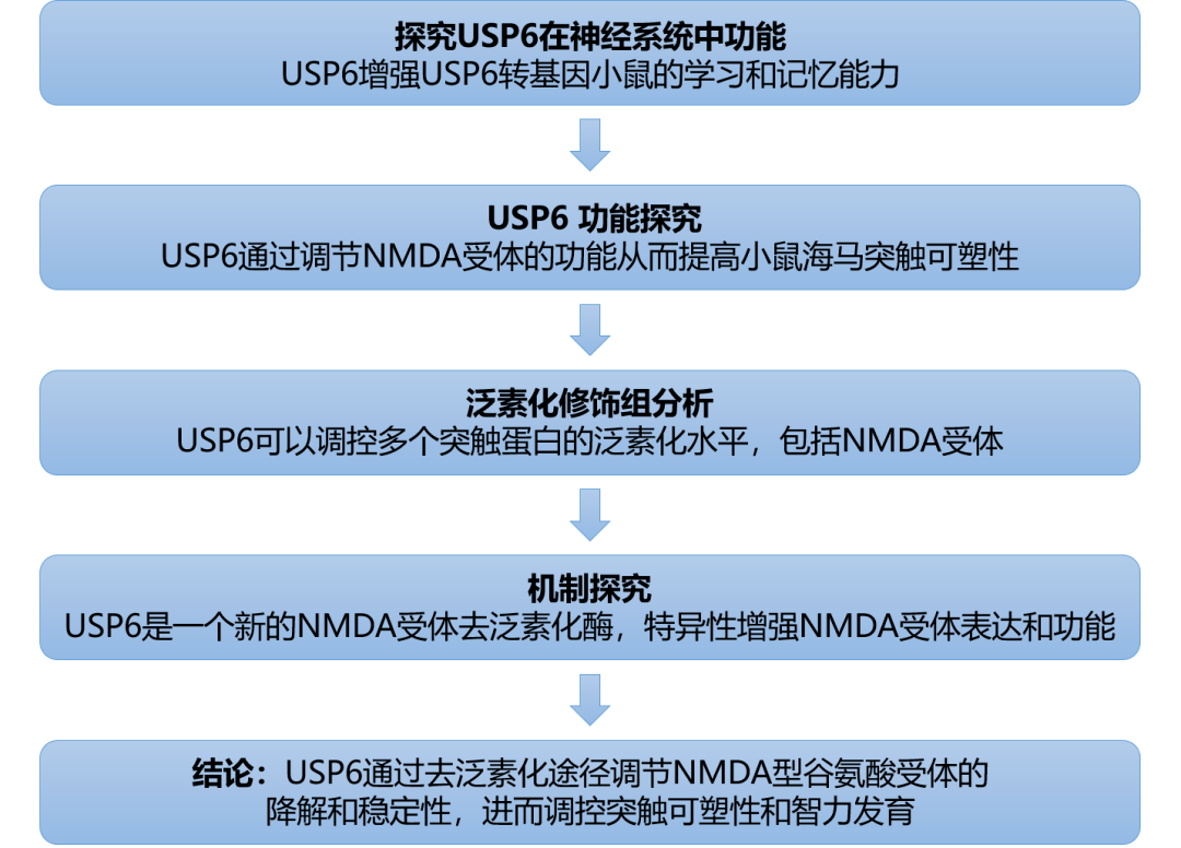 新奥精准免费资料提供,持续性实施方案_迅捷版43.753
