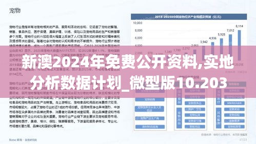 新澳2024正版免费资料,快速处理计划_数线程版54.260