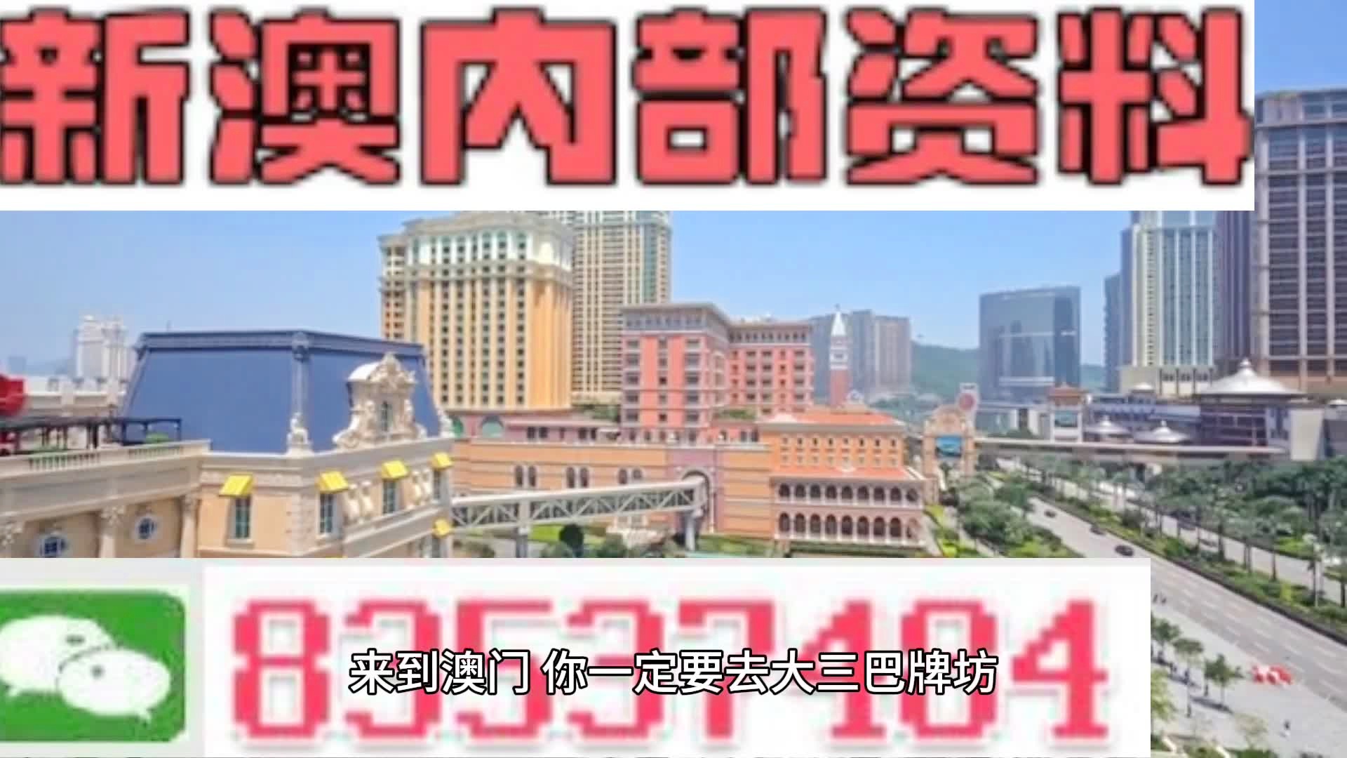 新澳门2024年公开免费资料结果王中王2024…,精准分析实践_任务版77.452