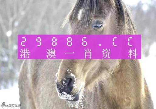澳门一肖一码100,最新碎析解释说法_语音版43.951