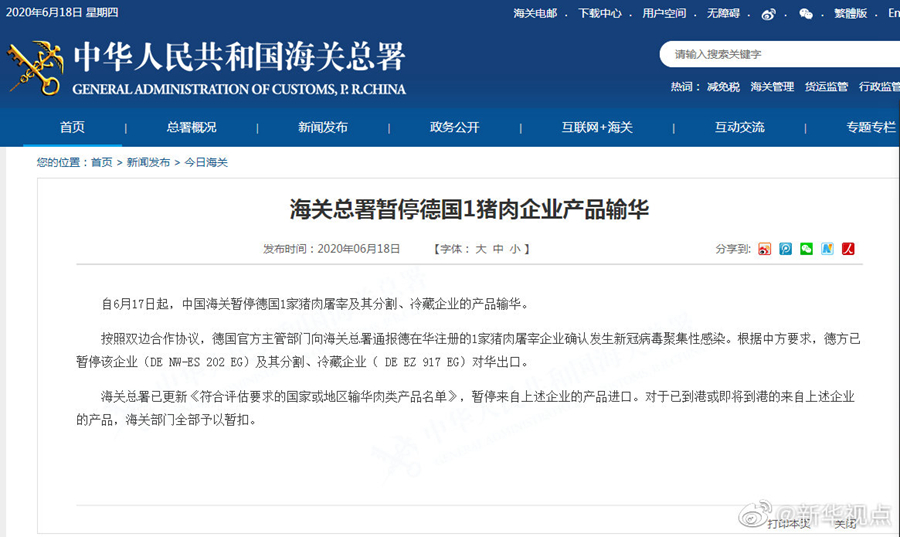 国内海关资讯更新动态🛳️
