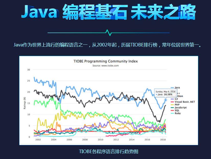 编程行情深度解析，趋势展望与机遇挖掘