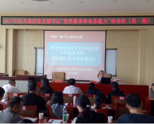 党支部最新职责解读，全面理解党支部的职责与使命