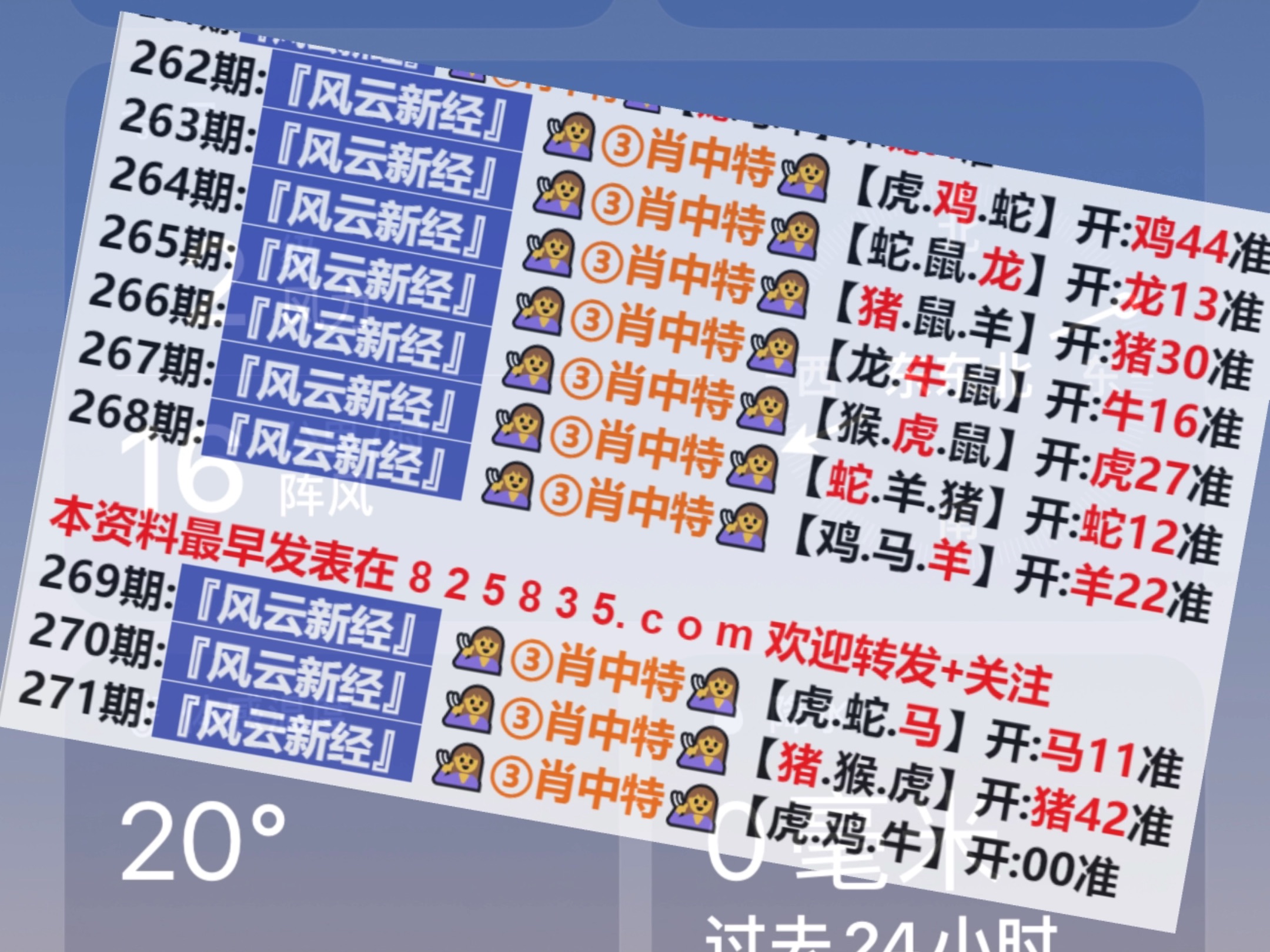 2024年新奥门天天开彩,实际调研解析_风尚版47.939