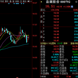 盐湖股份引领科技潮流，开启智能盐湖新时代新公告发布