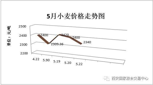 小麦价格走势分析与学习成长之路，自信与成就感的收获