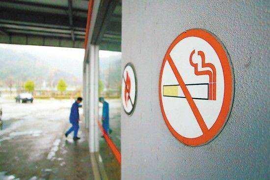油价最新动态详解，全面指南与步骤解析