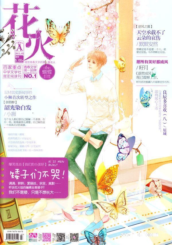 青春与梦想的燃烧岁月，2015年花火新书精选