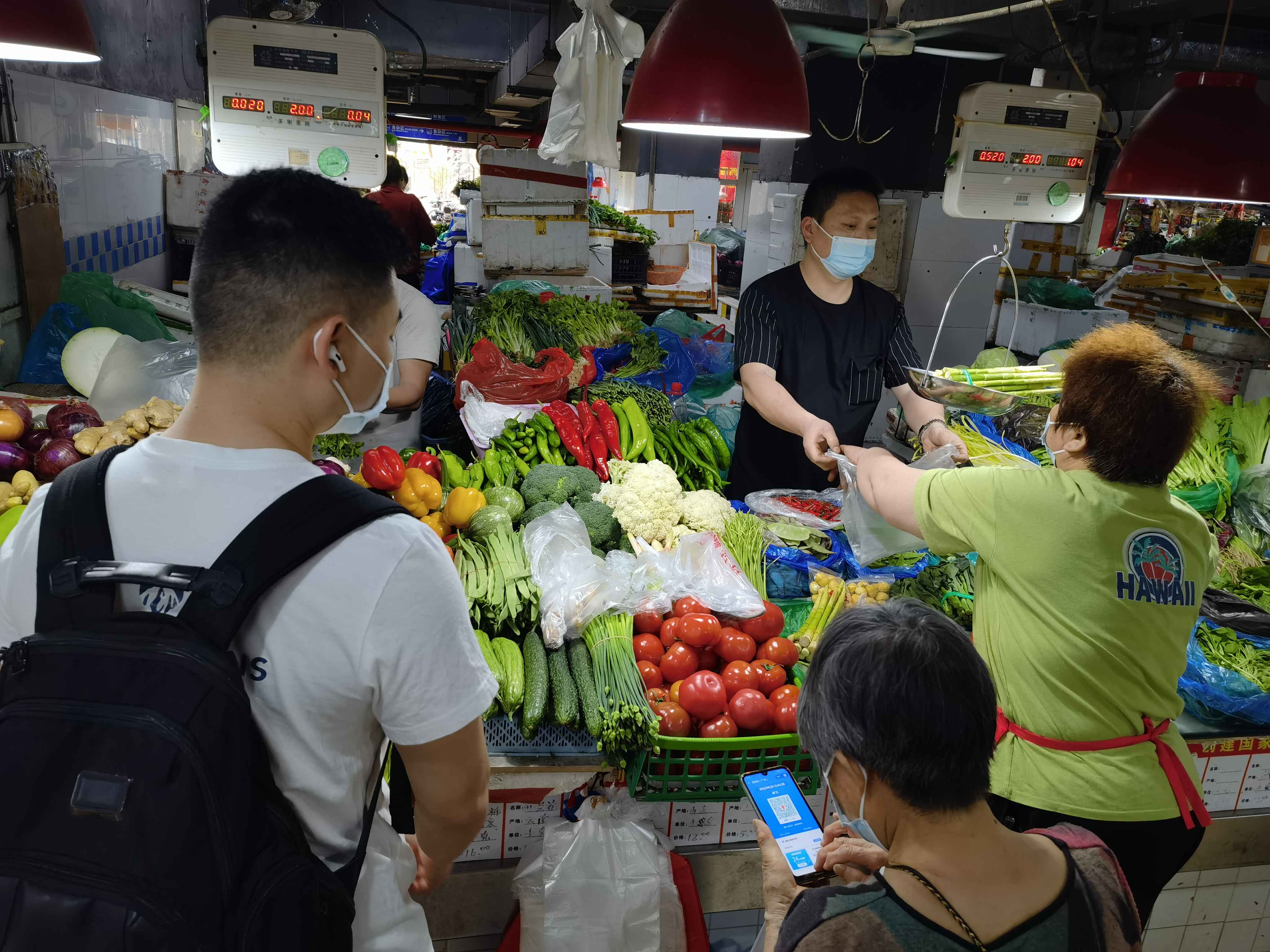 菜市行情揭秘，田间到餐桌的鲜活故事之旅
