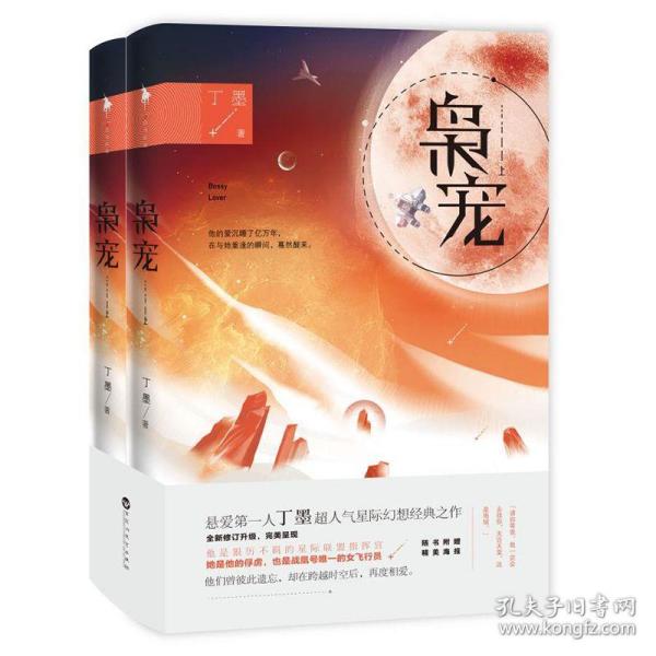 丁墨最新作品解析与概述