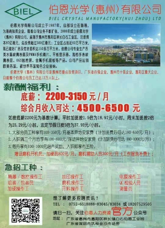 伯恩最新招聘资讯，引领科技潮流，启程智能生活新篇章