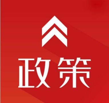 最新资讯速递概览