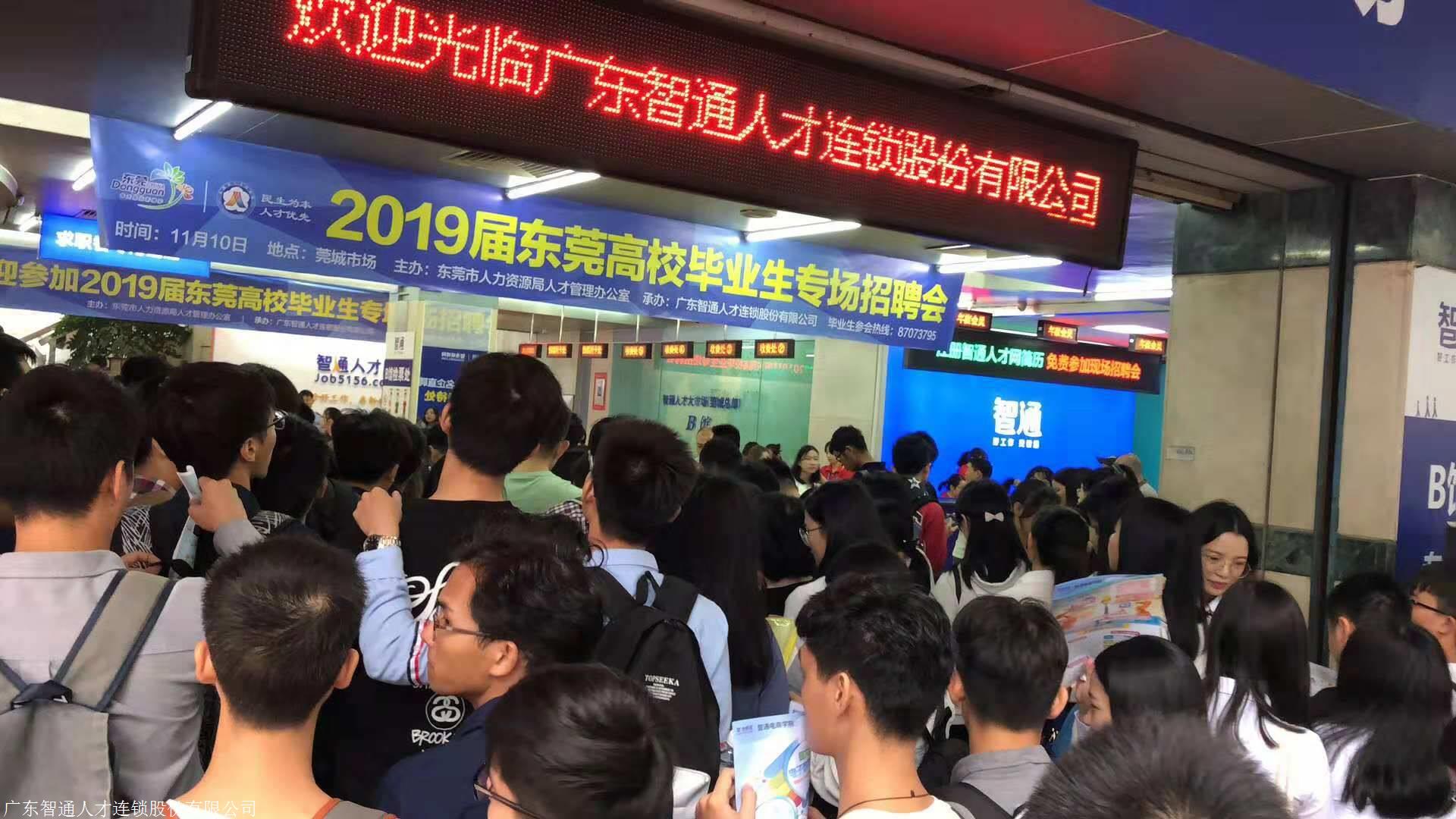 东莞智通人才招聘网最新职位发布，时代脉搏与人才交响的交响乐章