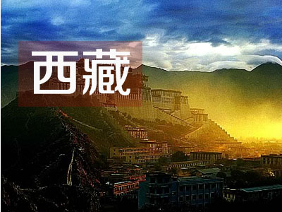 魅影网最新入口警示，安全上网，警惕风险！