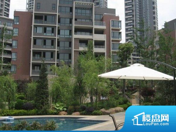 建湖观湖一号最新房价揭秘，小巷中的意外惊喜