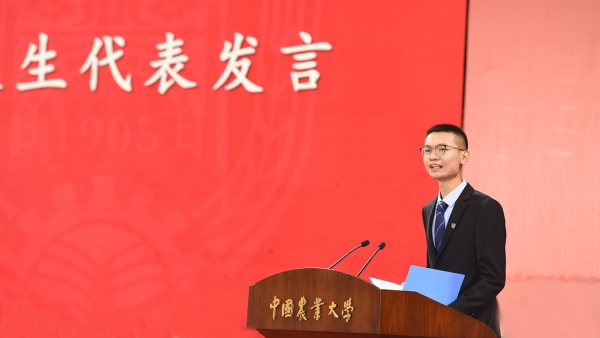 杨勇琴最新任务与学习技能详细步骤指南