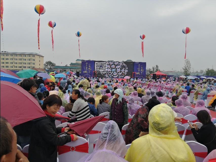 曹县最新楼盘探析，市场热度与个人立场观察
