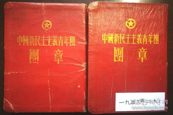 团章最新版深度解读，一种观点的阐述