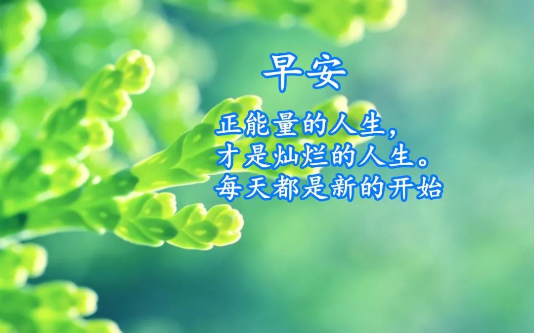 铝业发展动态、未来展望及最新早安中铝资讯