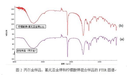 丙尔金最新动态，科技前沿的聚焦与深度探讨